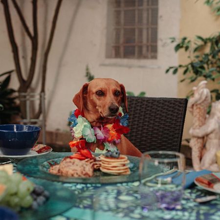 B&B La Corte キオッジャ エクステリア 写真